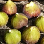 fichi-150x150 Fichi, quanti benefici per la salute! Fichi, quanti benefici per la salute! Salute e benessere