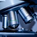 L'importanza delle cellule staminali embrionali Medicina 