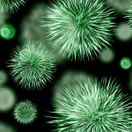 Caratteristiche della patologia e terapia per la sindrome della bocca urente Malattie 