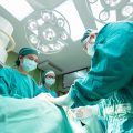 Novità: il trapianto degli organi tra viventi Medicina 