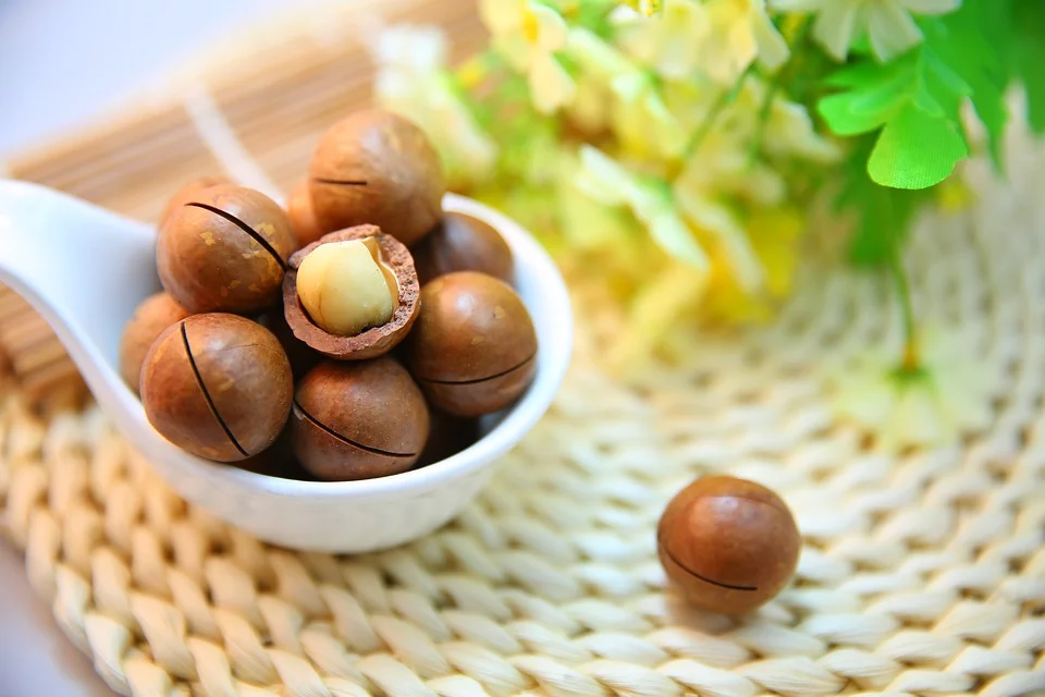 I benefici per la salute delle noci di macadamia Proprietà degli alimenti  