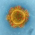 Coronavirus: quanto durerà in Italia? Coronavirus 