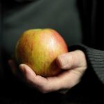 apple-g0138f90b4_640-150x150 Nutrizionista o dieta fai da te? Nutrizionista o dieta fai da te? Salute e benessere