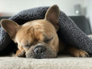 Carenza di sonno: tecniche e rimedi naturali per combatterla Benessere Rimedi 